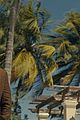 debby ryan carries a razr phone in new the resort photos 13
