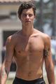 shawn mendes goes shirtless for walk with friends 02