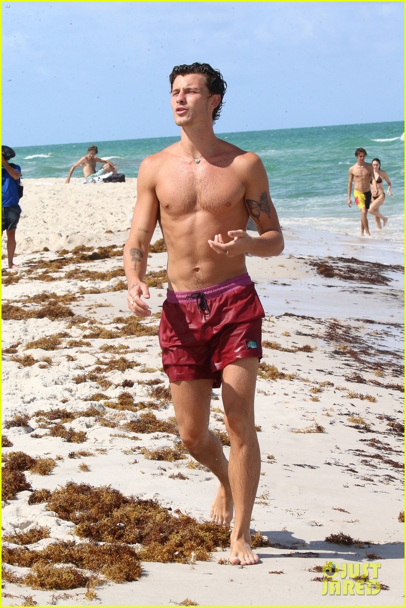 Shawn Mendes Spotted Shirtless At The Beach Ahead Of Th Birthday Photo Photo