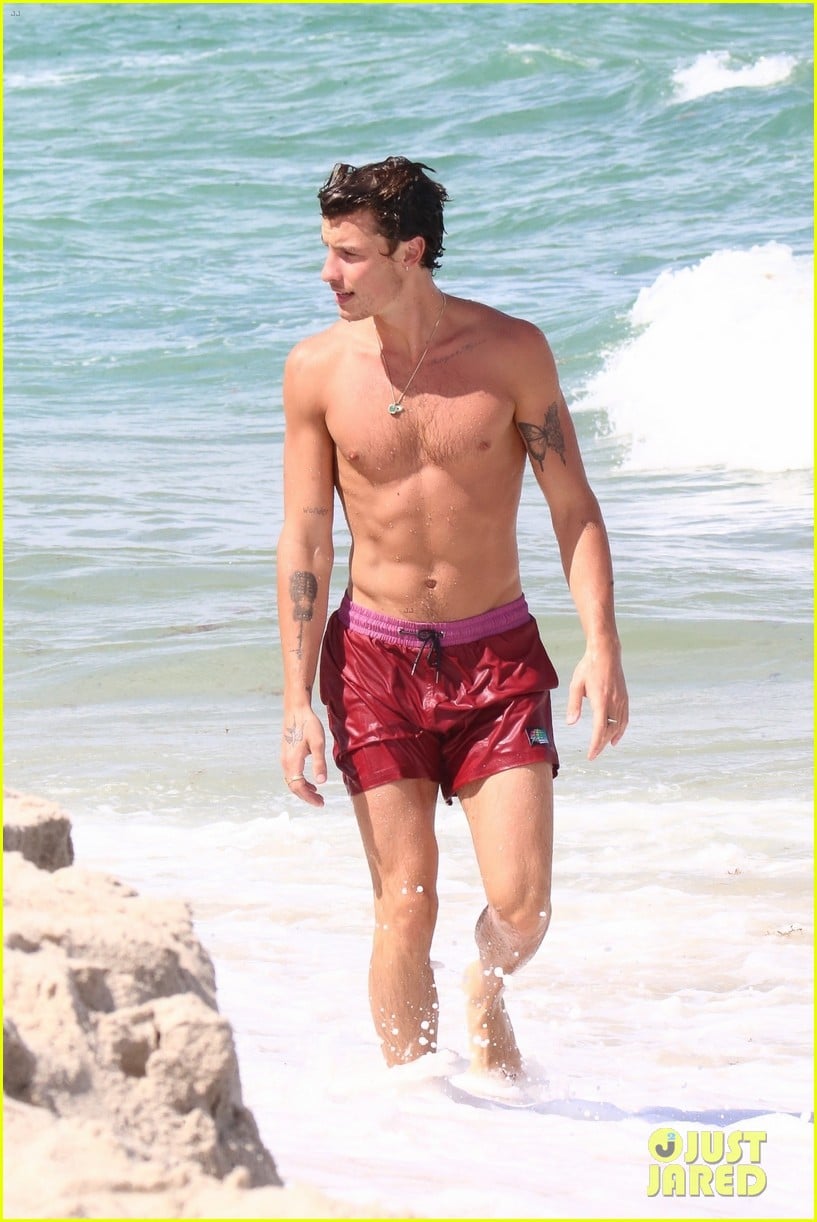 Shawn Mendes Spotted Shirtless At The Beach Ahead Of Th Birthday Photo Photo