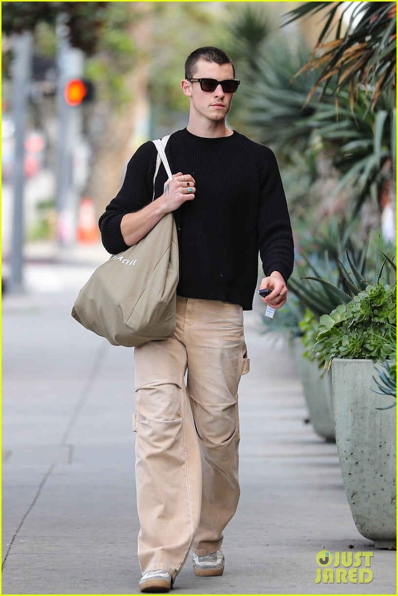 Shawn Mendes Shows Off His Freshly Buzzed Head During Grocery Run ...