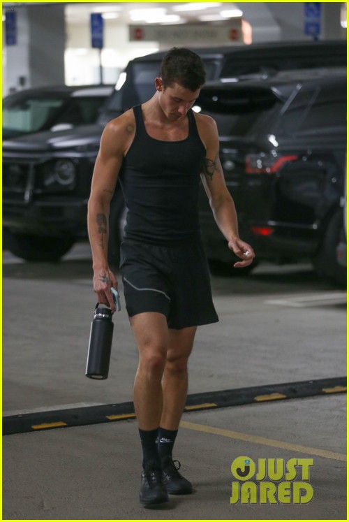 Shawn Mendes Gets in His Gym Pump During Equinox Outing Photo 1370001