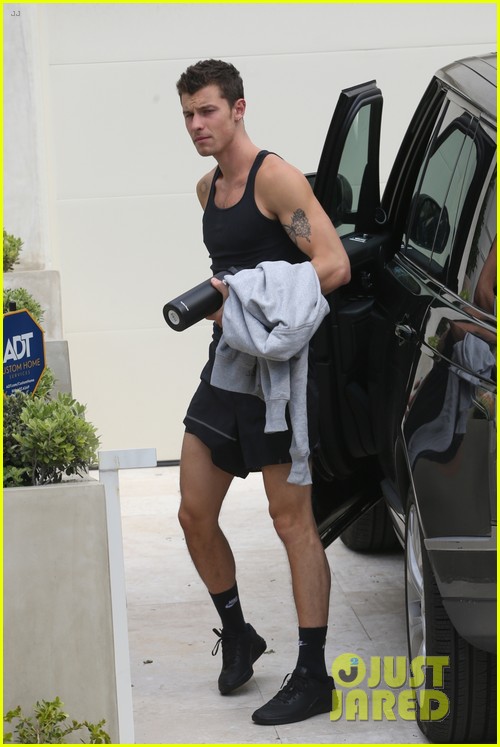 Shawn Mendes Gets in His Gym Pump During Equinox Outing Photo 1370002