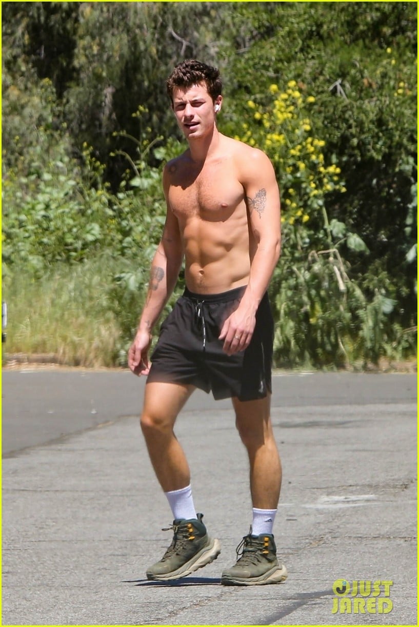 Shawn Mendes Shows Off His Super-Toned Six-Pack During Shirtless Hike ...