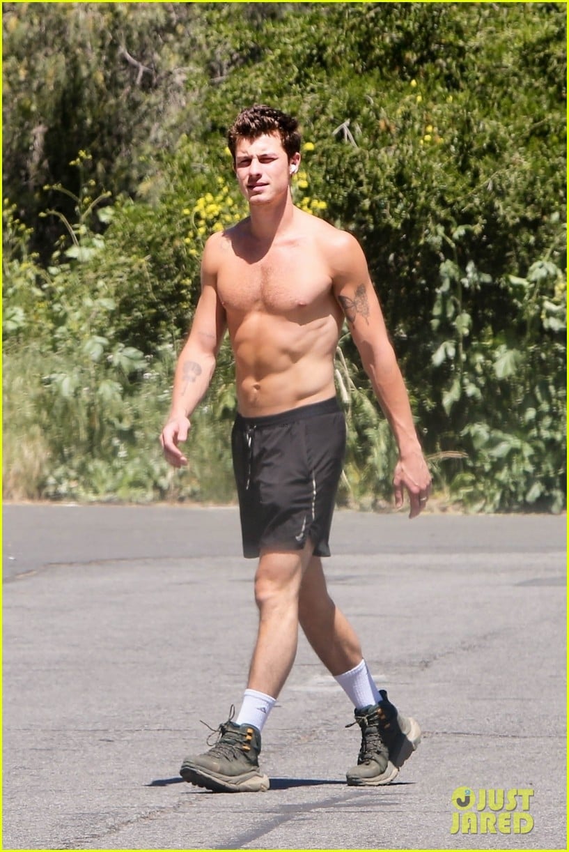 Shawn Mendes Shows Off His Super-Toned Six-Pack During Shirtless Hike ...