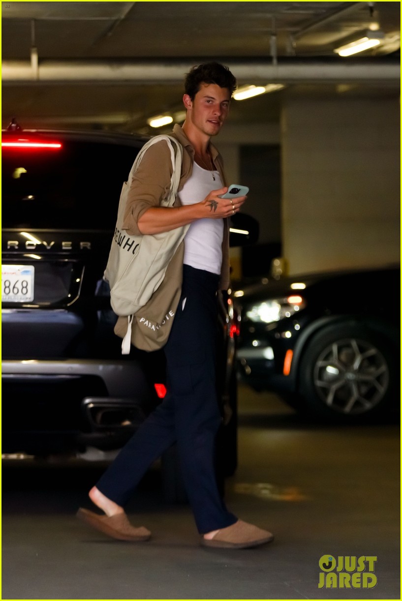 Shawn Mendes Goes Casual For A Grocery Run at His Local Store Photo