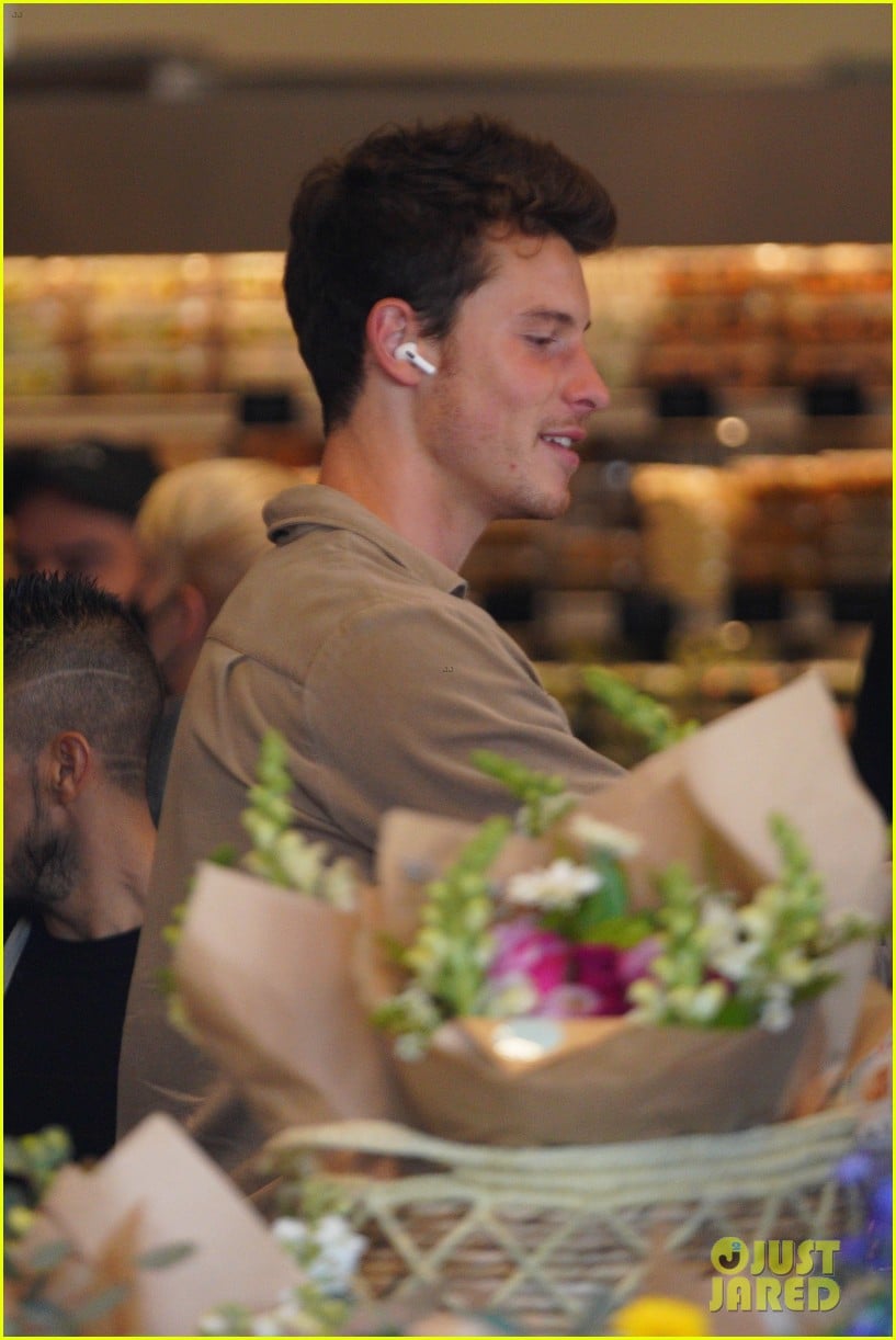 Shawn Mendes Goes Casual For A Grocery Run at His Local Store Photo