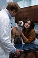 lucy hale grant gustin star in puppy love trailer watch now 03