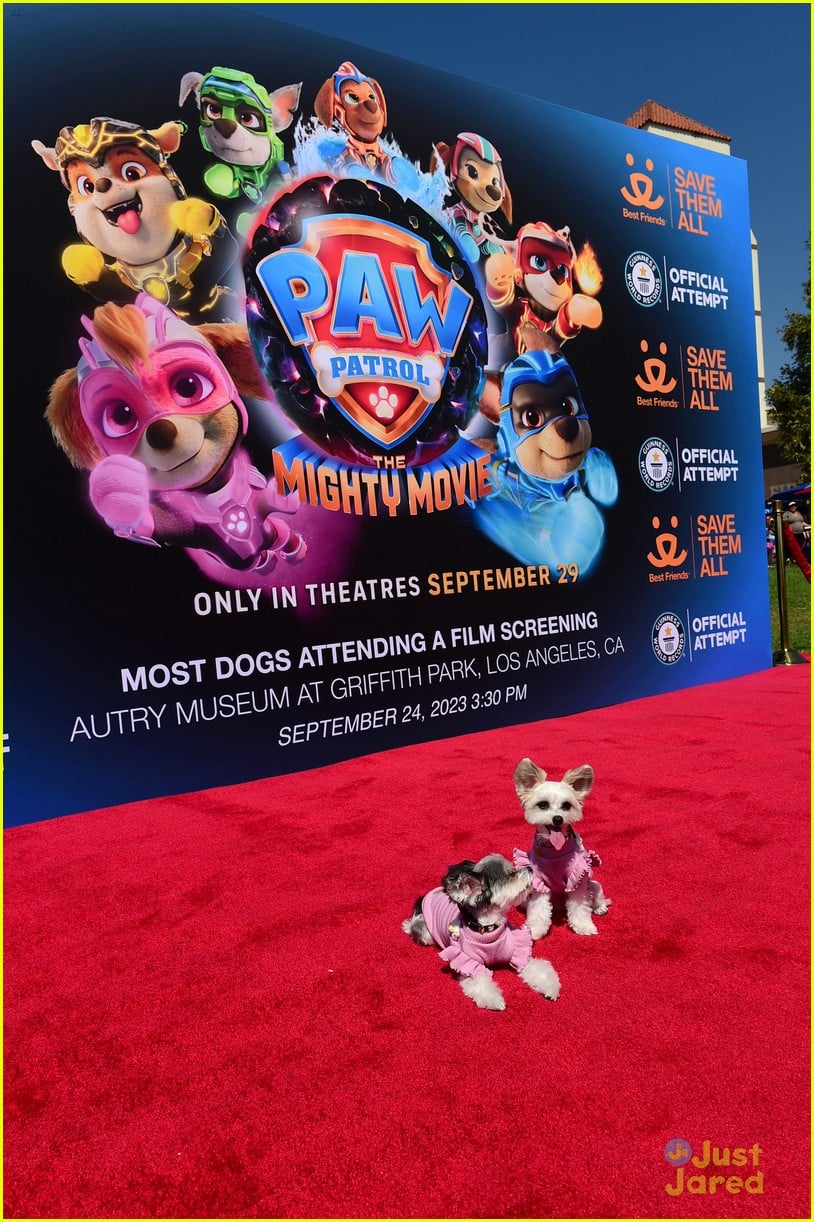 'PAW Patrol: The Mighty Movie' Breaks Guinness World Record at Weekend ...