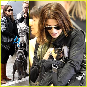 Ashley Greene & Nikki Reed: Traveling With the Dogs | Ashley Greene ...