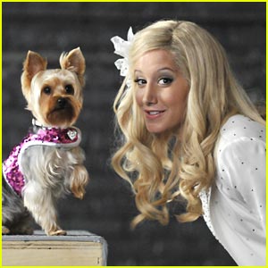 Ashley Tisdale: Sharpay’s Fabulous Adventure Premieres May 22 on Disney ...