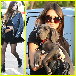 Kendall and Kylie Jenner Named Their New Dogs Louis and Vuitton