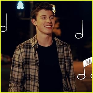 Shawn Mendes Makes Us Swoon in New 'Show You' Lyric Video - Watch Now!
