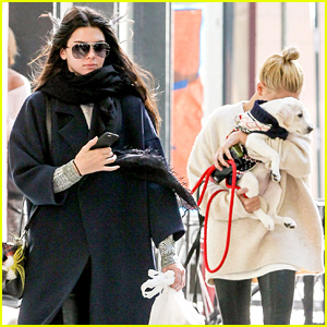 Kendall Jenner Says Who Needs Boys When There Are Puppies! | Gigi Hadid ...