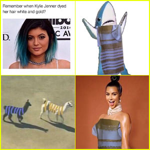 'What Color Is This Dress' Spawns Tons of Internet Memes!