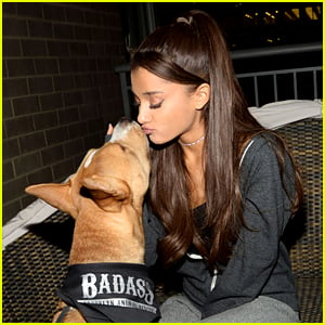 how much dogs does ariana grande have