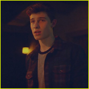 Shawn Mendes Finally Drops Official 'Life of the Party' Music Video - Watch Now!