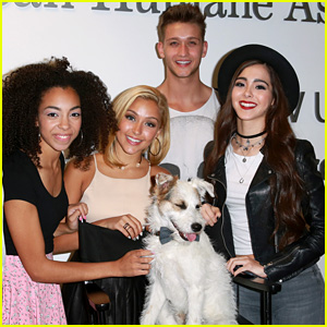 Sweet Suspense Hang Out With Hallmark Channel�s Happy the Dog for a Good Cause!