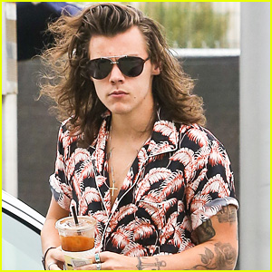 Harry Styles Lets His Long Hair Run Wild During Coffee Stop | Harry Styles,  One Direction | Just Jared Jr.