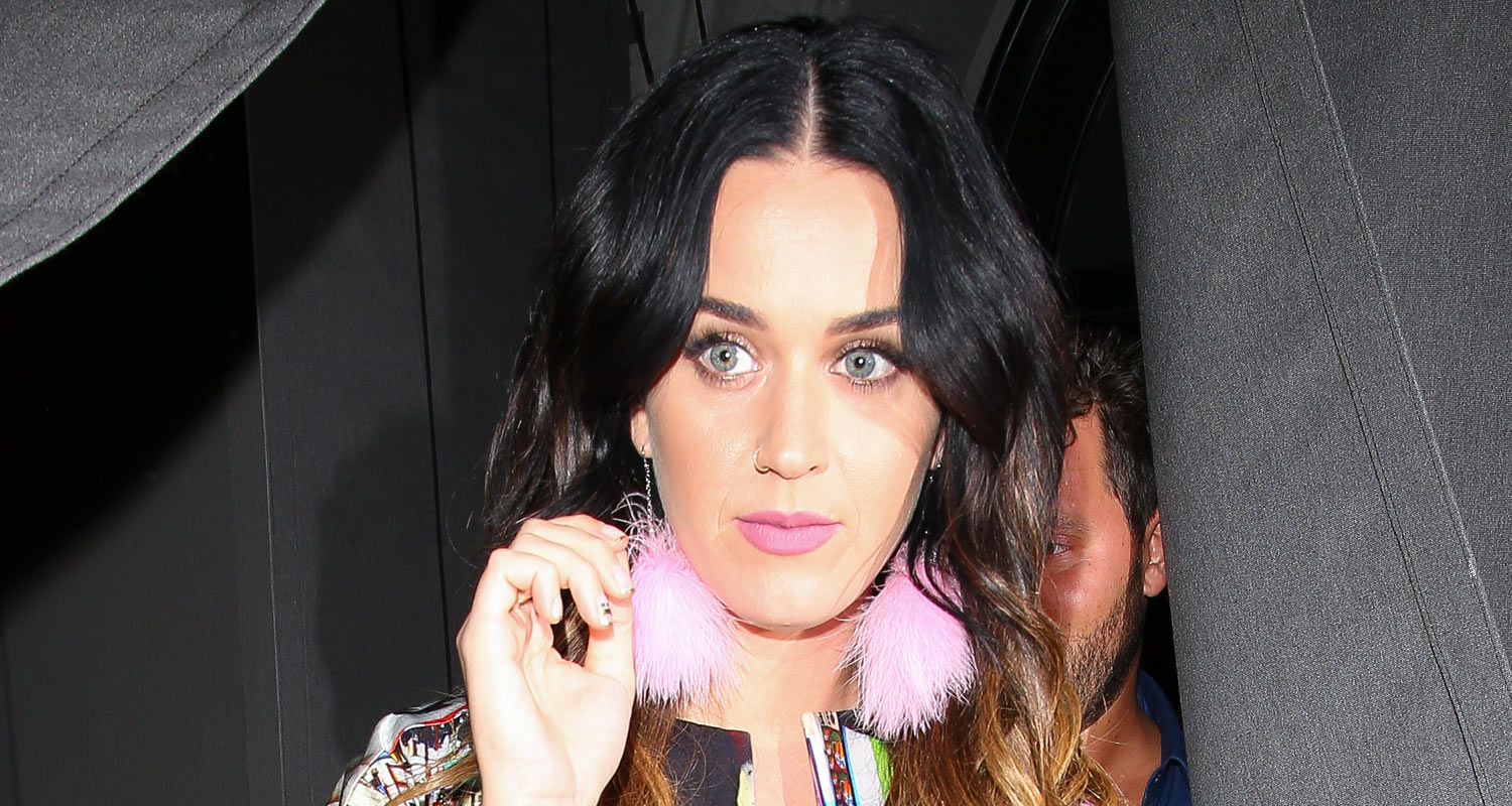 Katy Perry Goes Colorful Chic for Craig’s Dinner | Katy Perry | Just