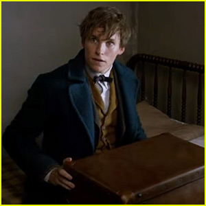 'Fantastic Beasts & Where to Find Them' First Trailer Premieres - Watch Now!