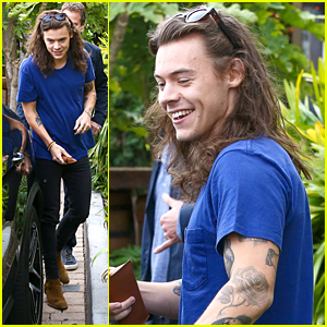 Harry Styles Lunches In Malibu After Birth of Louis Tomlinson's New Baby