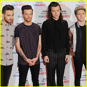 One Direction Not Permanently Splitting Up