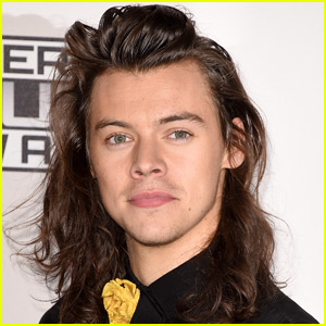 Harry Styles' Home Got Vandalized By Strangers!