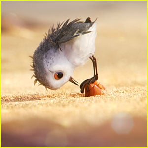 New Images From Disney Pixar Short 'Piper' Revealed