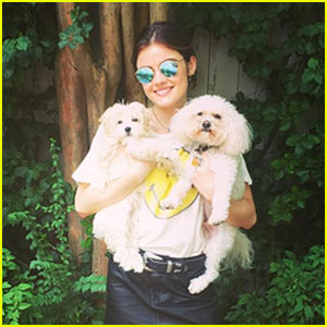 Lucy Hale Takes Family Photo with Her Sons (Her Dogs!) | Celebrity Pets