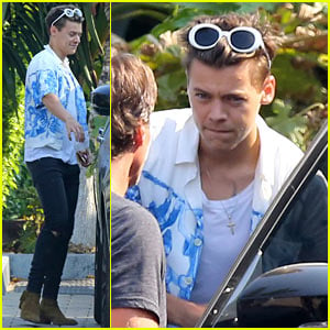 Harry Styles Grabs Lunch at Cafe Habana in LA!