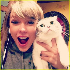 Taylor Swift Shares Funny Video of Her Cat Olivia on Instagram Stories | Taylor  Swift | Just Jared Jr.