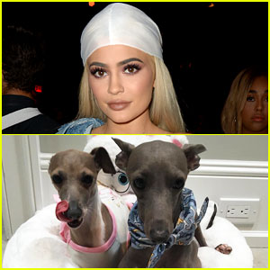Kylie Jenner Had to Skip AMAs 2016 Because Her Dog Was in Labor!