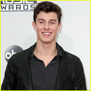 Shawn Mendes Would 'Totally' Date a Fan!