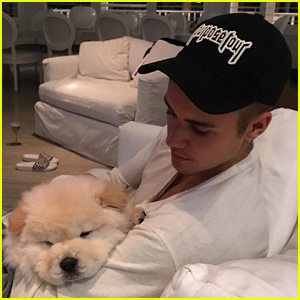 Justin Bieber's Dog Todd Needs Life-Saving Surgery!