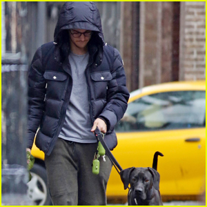 Chris Wood Walks Melissa Benoist's Dog