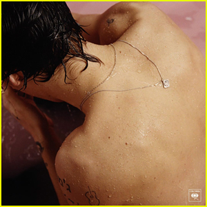 Harry Styles Reveals Debut Solo Album Artwork & Tracklist - See It All Here!