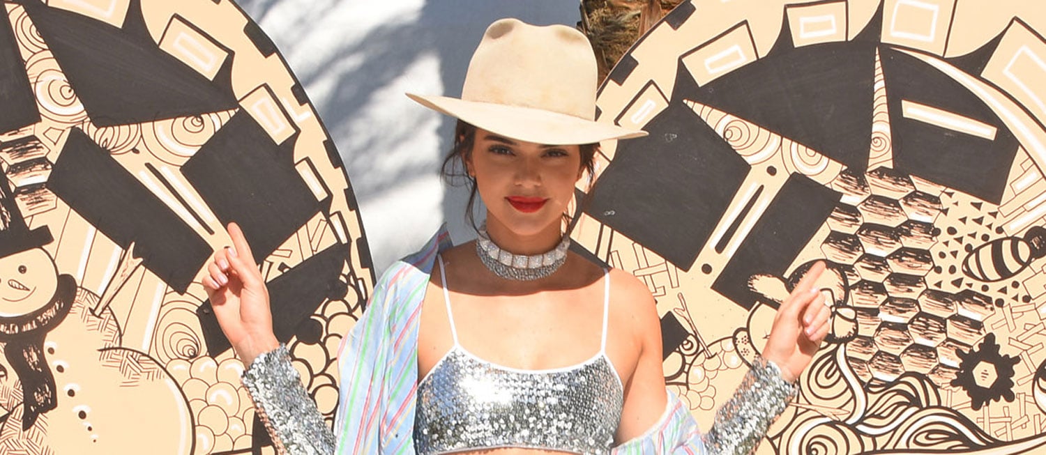 Kendall Jenner Co-Hosts Winter Bumbleland Party With Little Sis Kylie