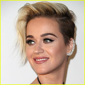 Katy Perry Just Shaved Her Hair ALL Off & Bleached it Platinum -- Pic Inside
