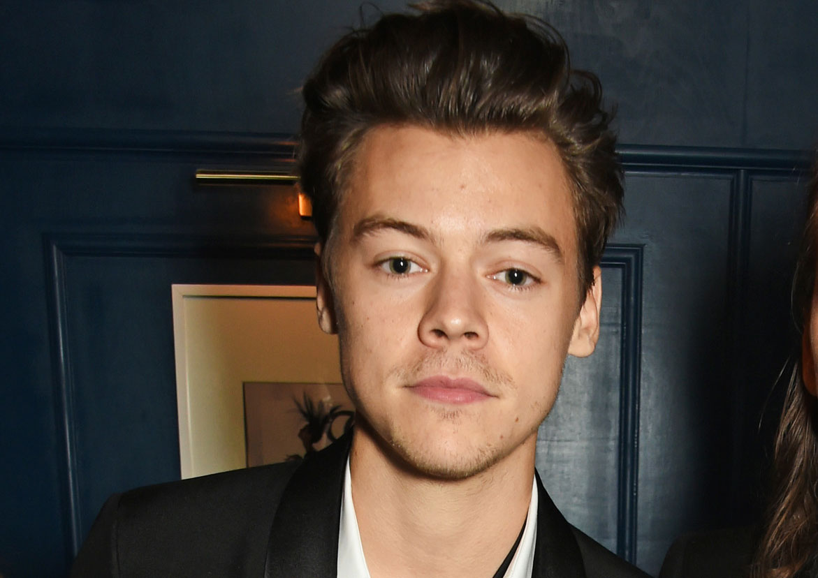 Harry Styles Makes Special Phone Call to Manchester Attack Survivor ...