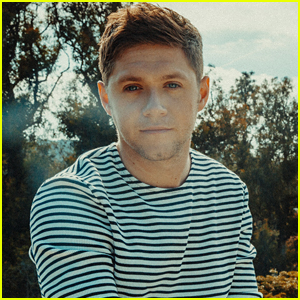 Niall Horan Knew He Was Meant To Be a Singer After Starring in This Musical