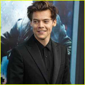 Harry Styles Defends His Fans at 'Dunkirk' Premiere: 'They're the Best People in the World'