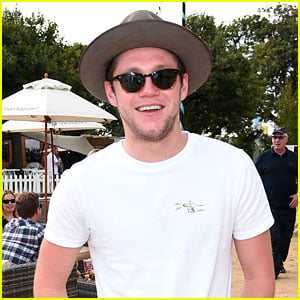 Niall Horan Takes in Tom Petty Performance at British Summer Time Festival