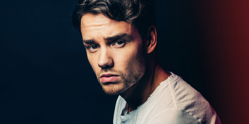 Liam Payne’s Favorite Career Memory Is All About One Direction’s ...