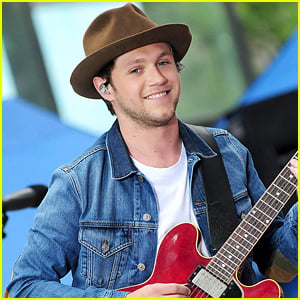 Niall Horan Admits He Gets Homesick For Ireland While On The Road ...