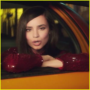 Sofia Carson Debuts 'Ins and Outs' Music Video - Watch Here!