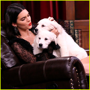 Kendall Jenner Cuddles With Puppies on 'Tonight Show' (Video)