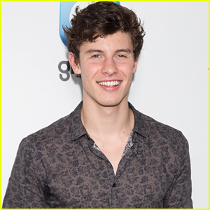 Shawn Mendes Has a Secret Tattoo That You Maybe Might Have Seen