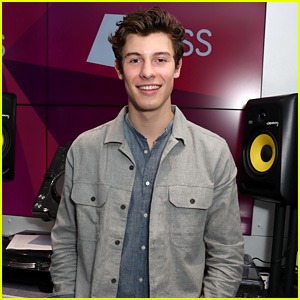 Shawn Mendes Shows Off His New Elephant Tattoo  TigerBeat