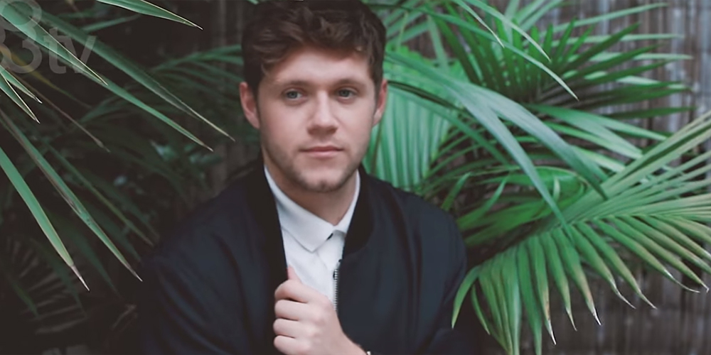 Niall Horan Would Love To Have Surprise Guests on Tour | Niall Horan ...